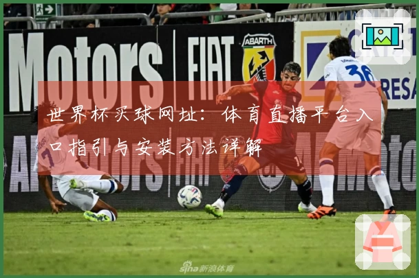 世界杯买球网址：体育直播平台入口指引与安装方法详解