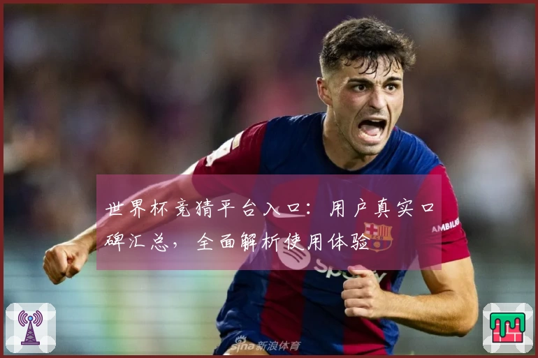 世界杯竞猜平台入口：用户真实口碑汇总，全面解析使用体验