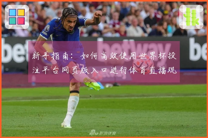 新手指南：如何高效使用世界杯投注平台网页版入口进行体育直播观看